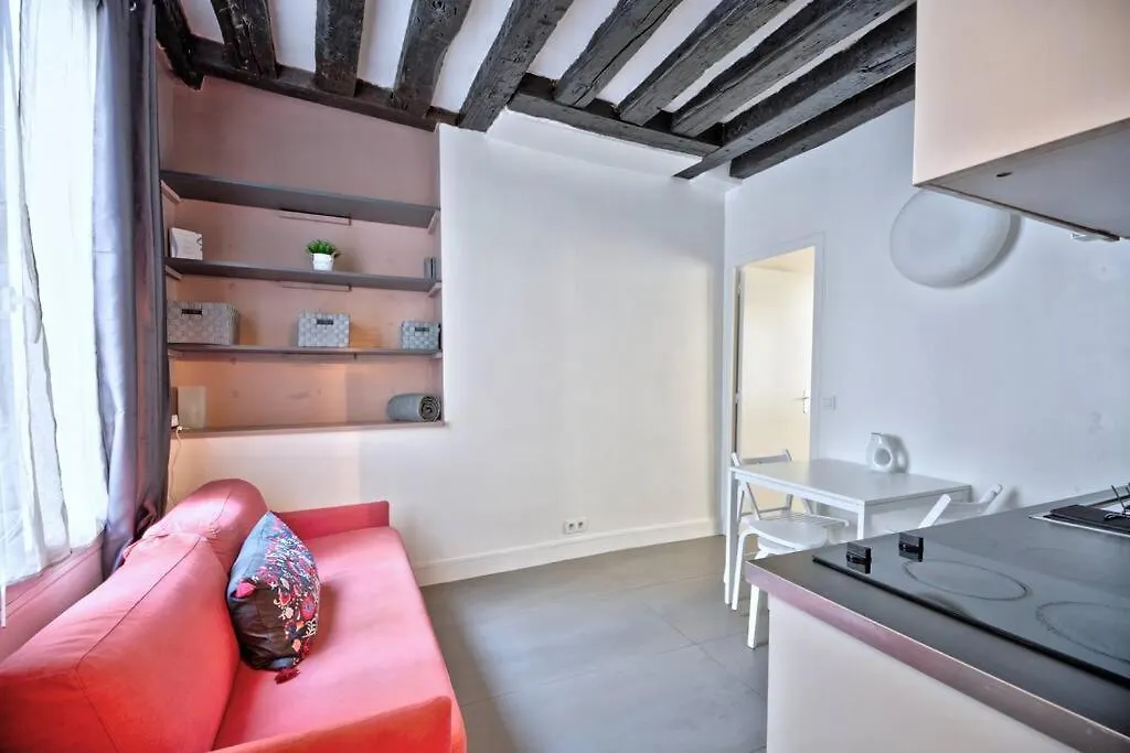 1 Bedroom Apt Only 15 Min Walk To The Louvre Paris