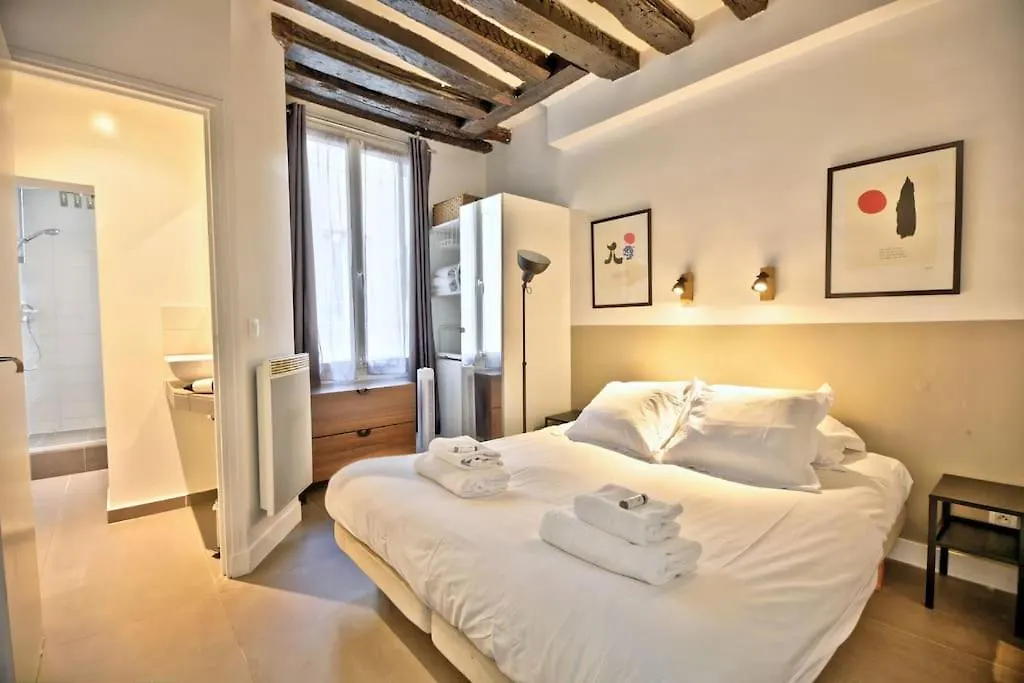 1 Bedroom Apt Only 15 Min Walk To The Louvre Paris
